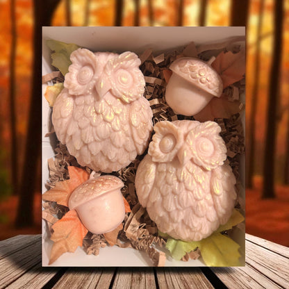 Acorns & Owls