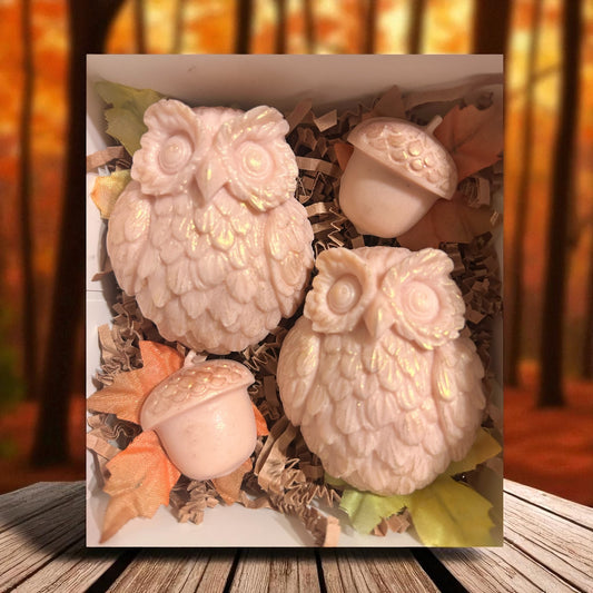 Acorns & Owls