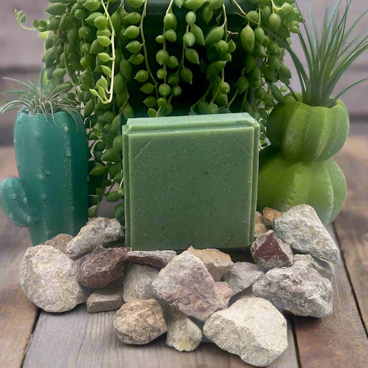 Hard Apple Cider Bar Soap